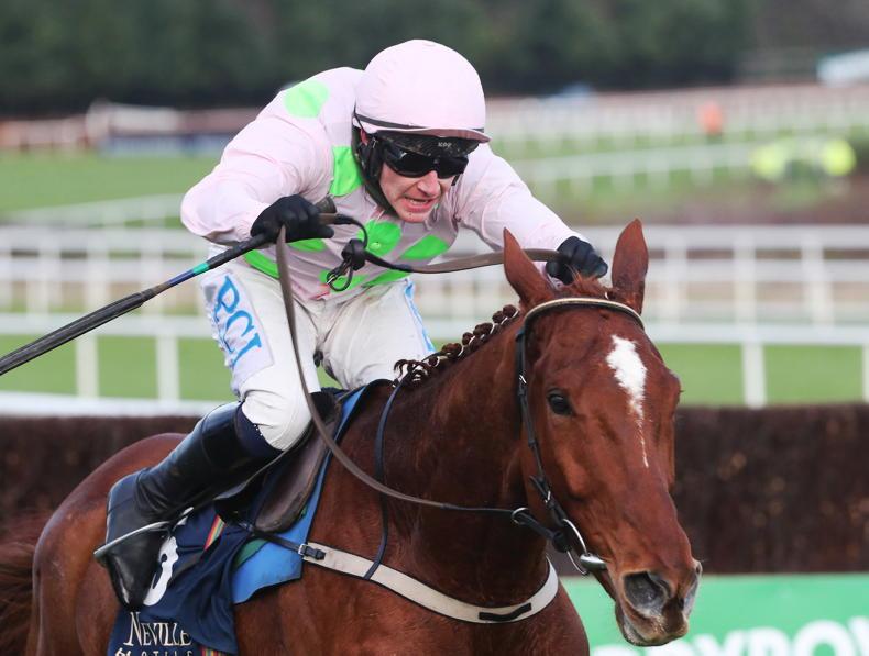 monkfish horse 0010