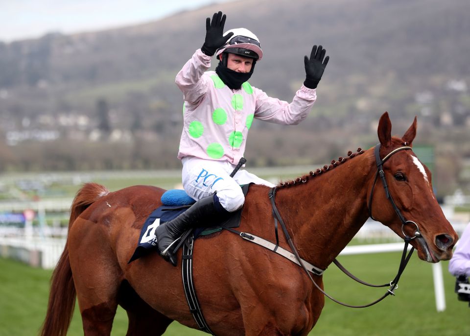 monkfish horse 0014