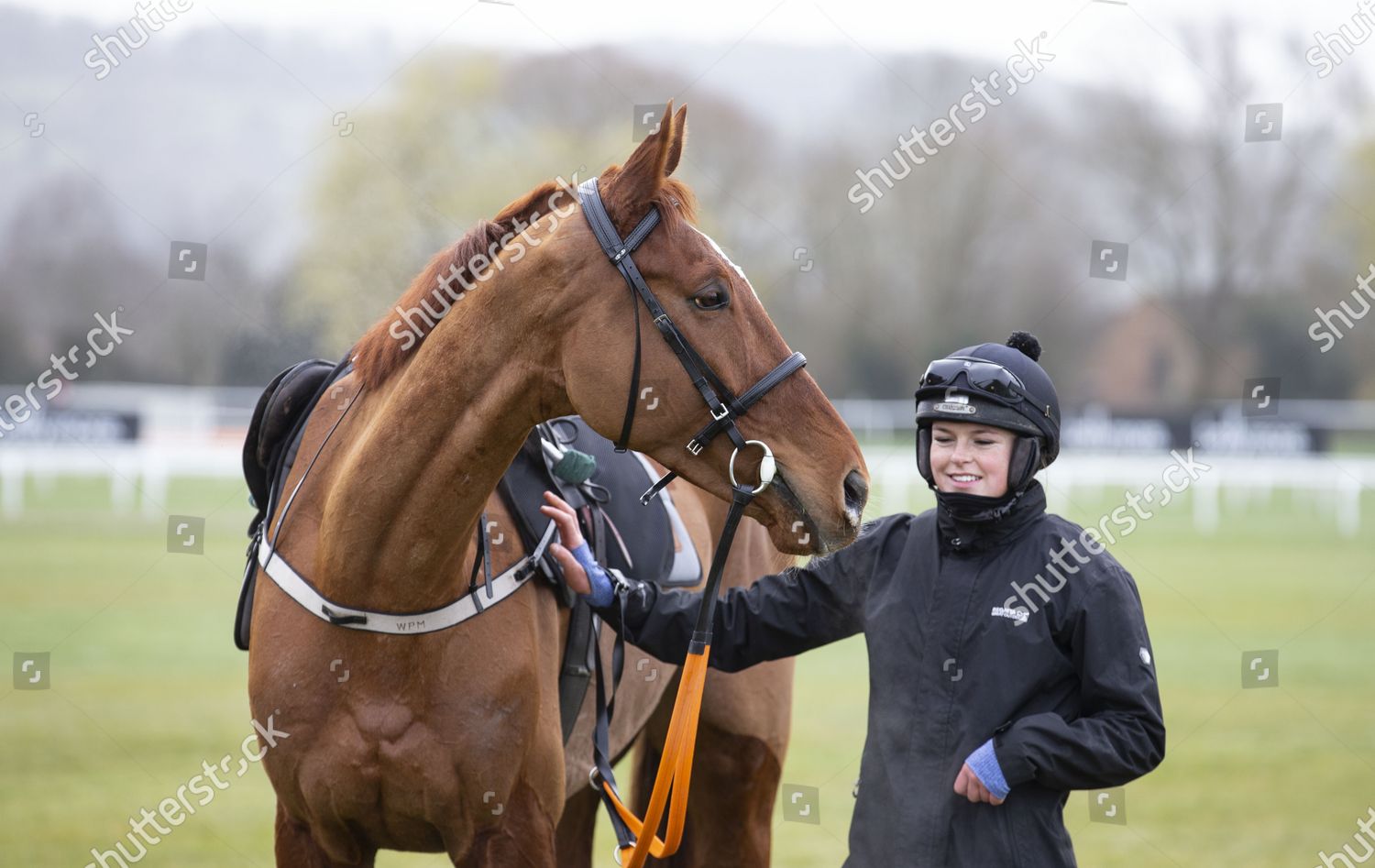monkfish horse 0021