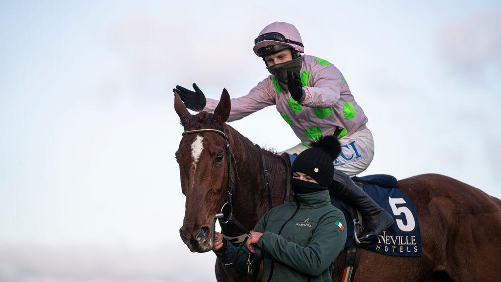 monkfish horse 0022