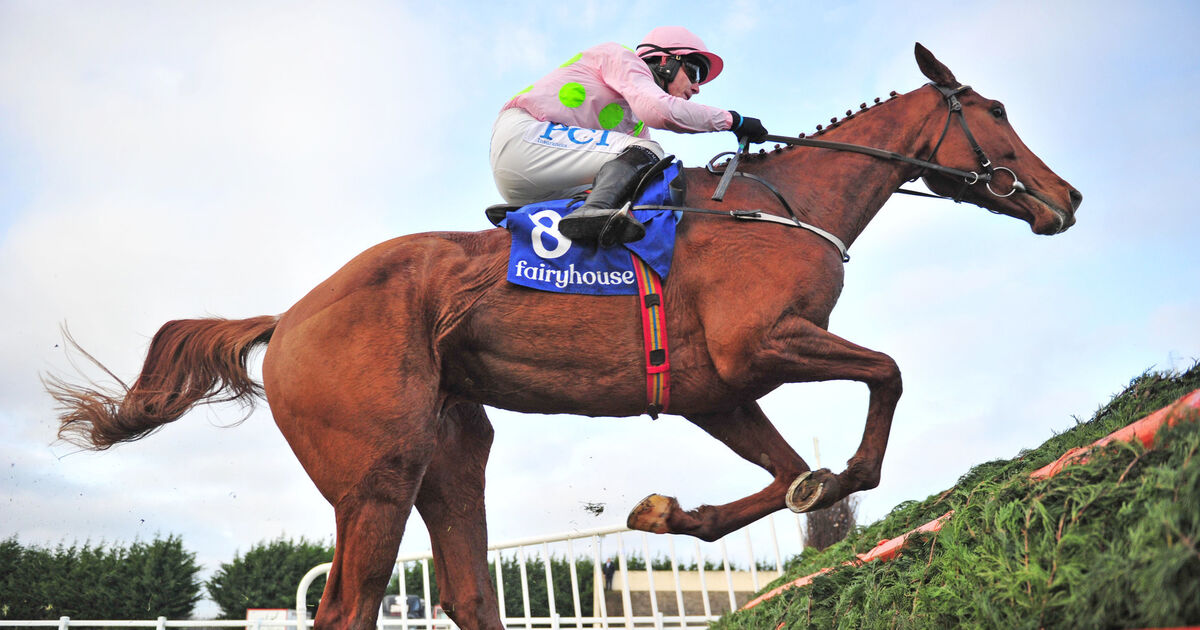 monkfish horse 0025