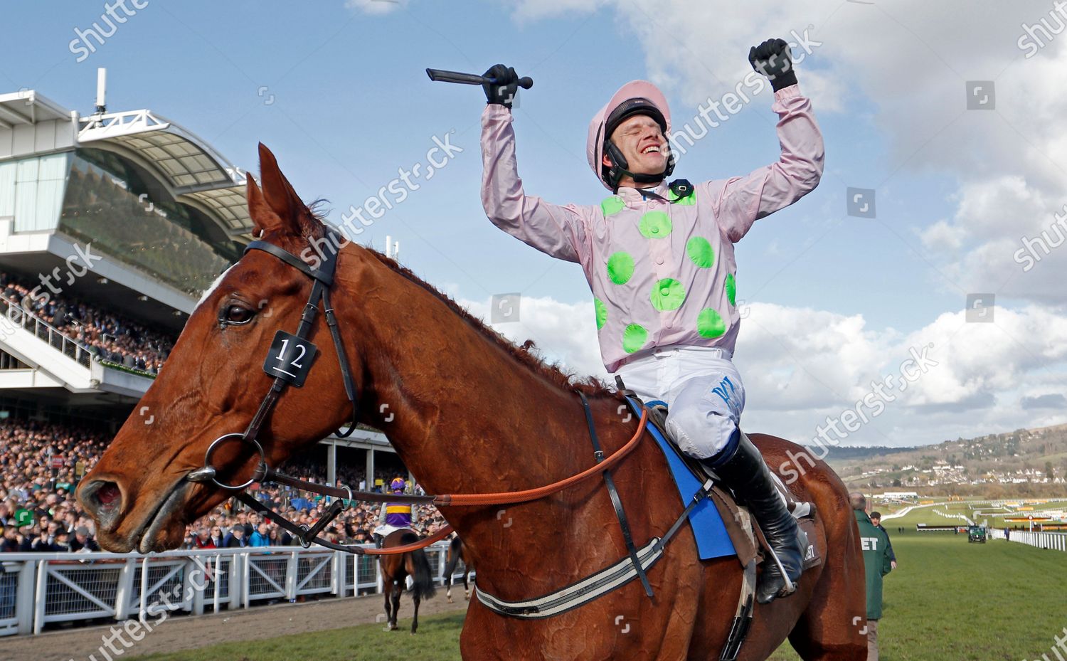 monkfish horse 0027