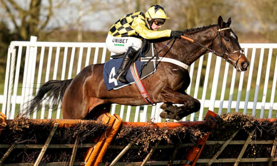 monkfish horse 0028