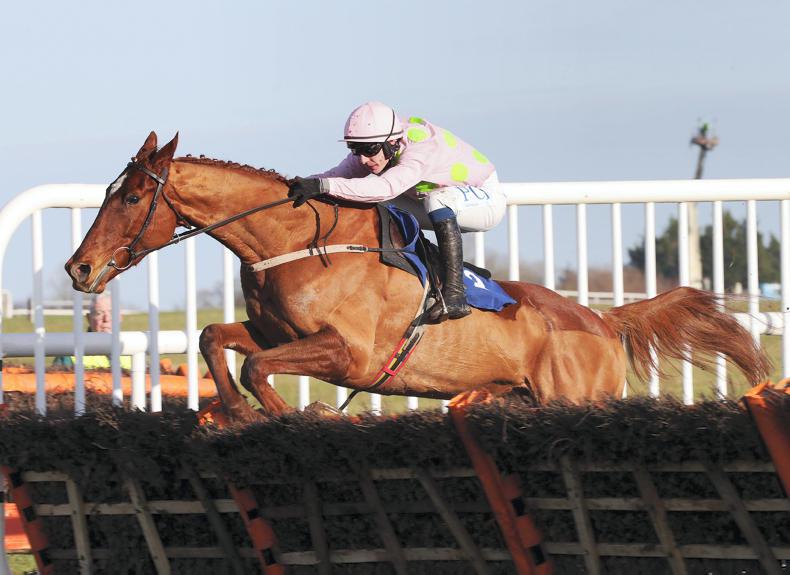 monkfish horse 0044