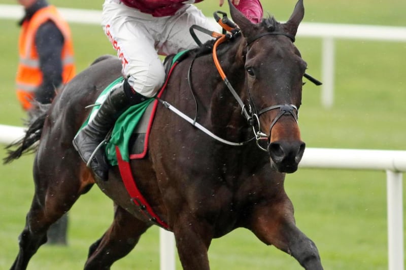 monkfish horse 0046