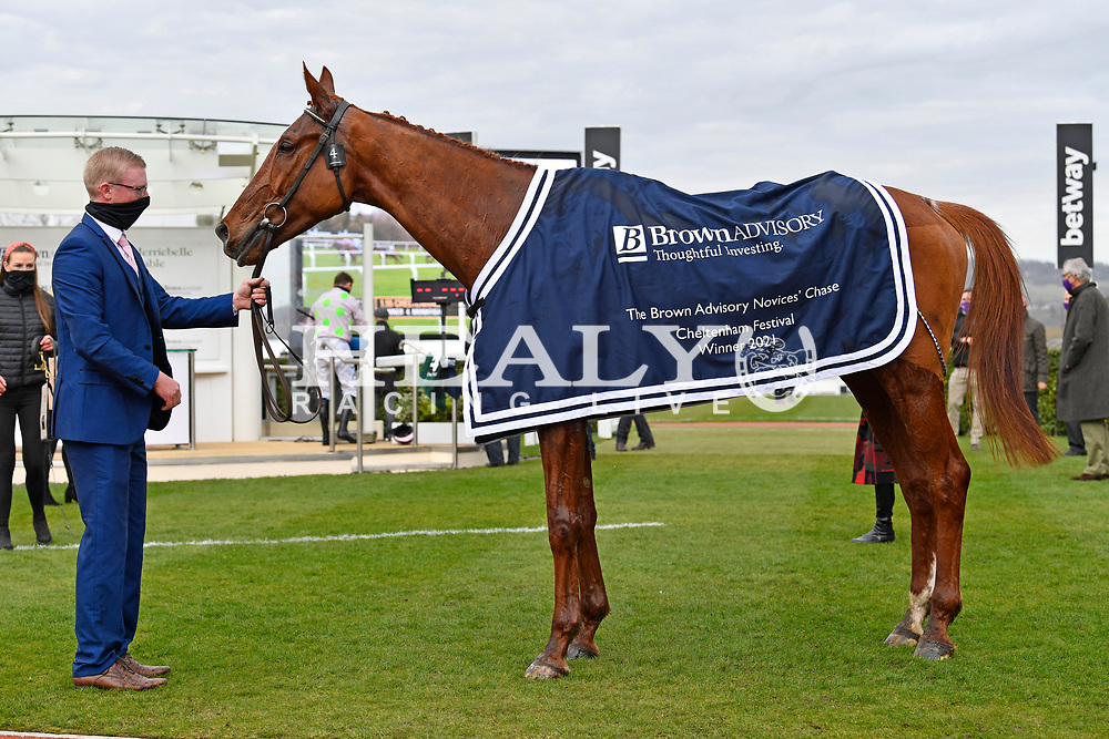 monkfish horse 0049