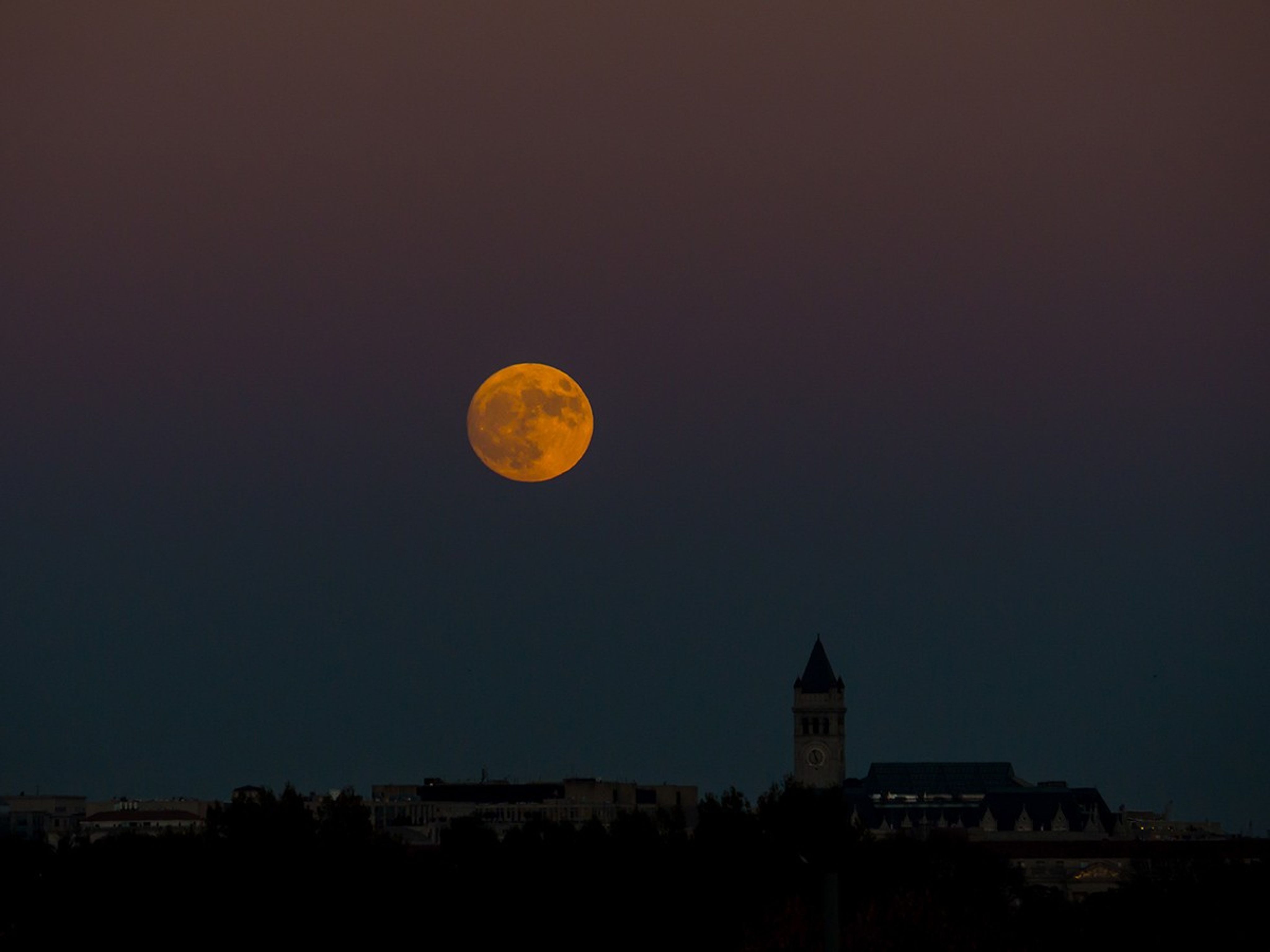 moon portrait 0013