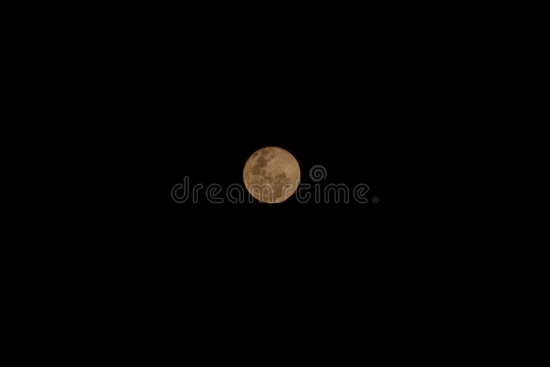 moon portrait 0016