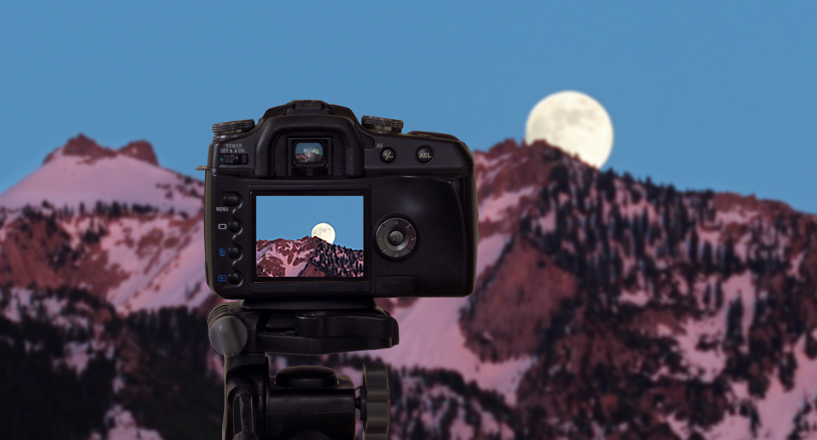 moon portrait 0029