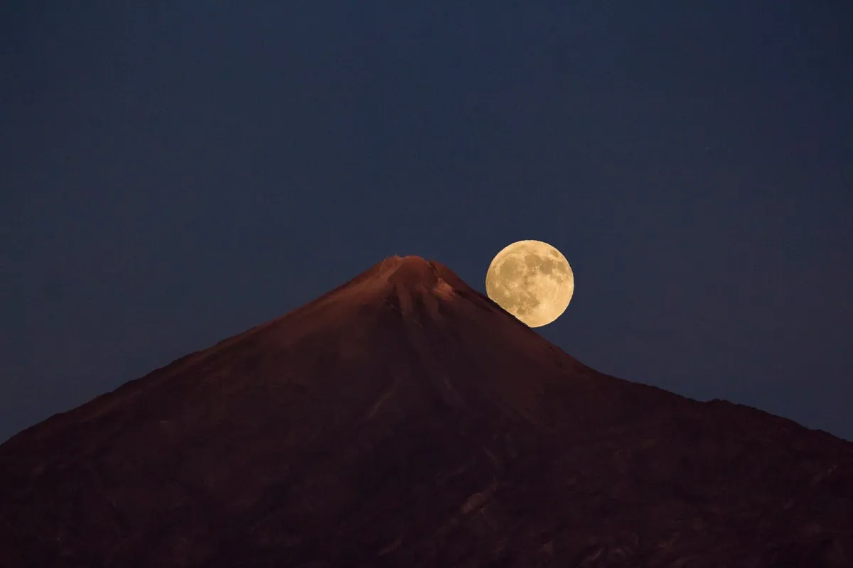 moon portrait 0037