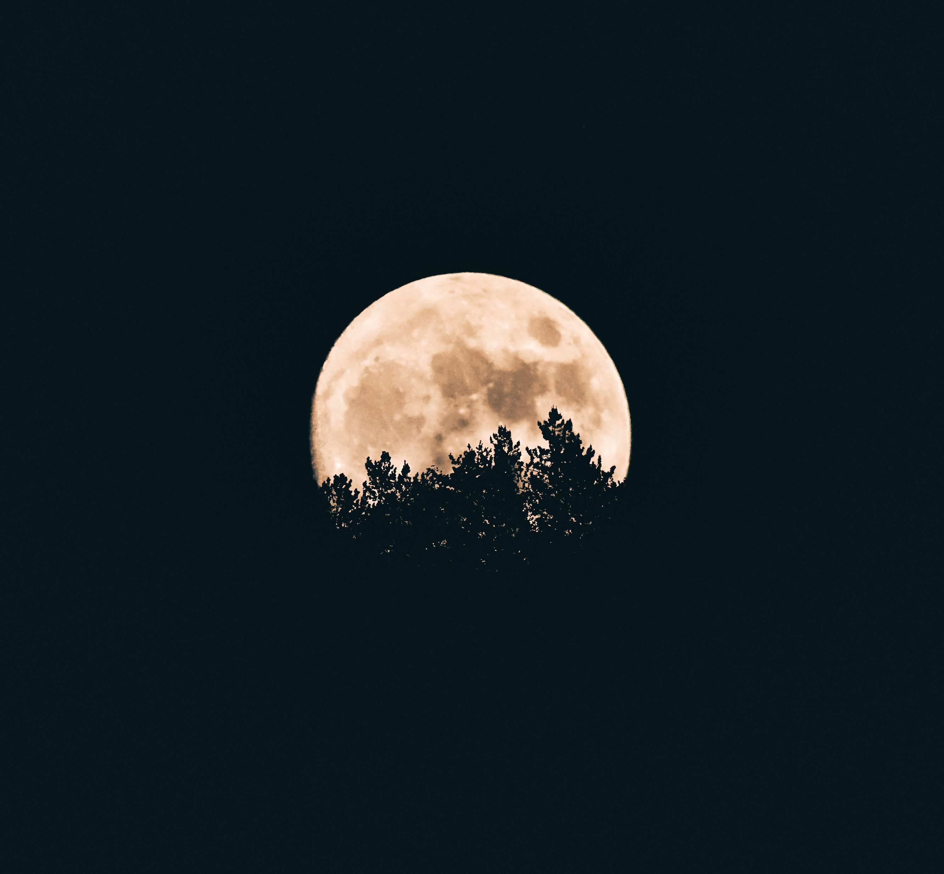 moon portrait 0039