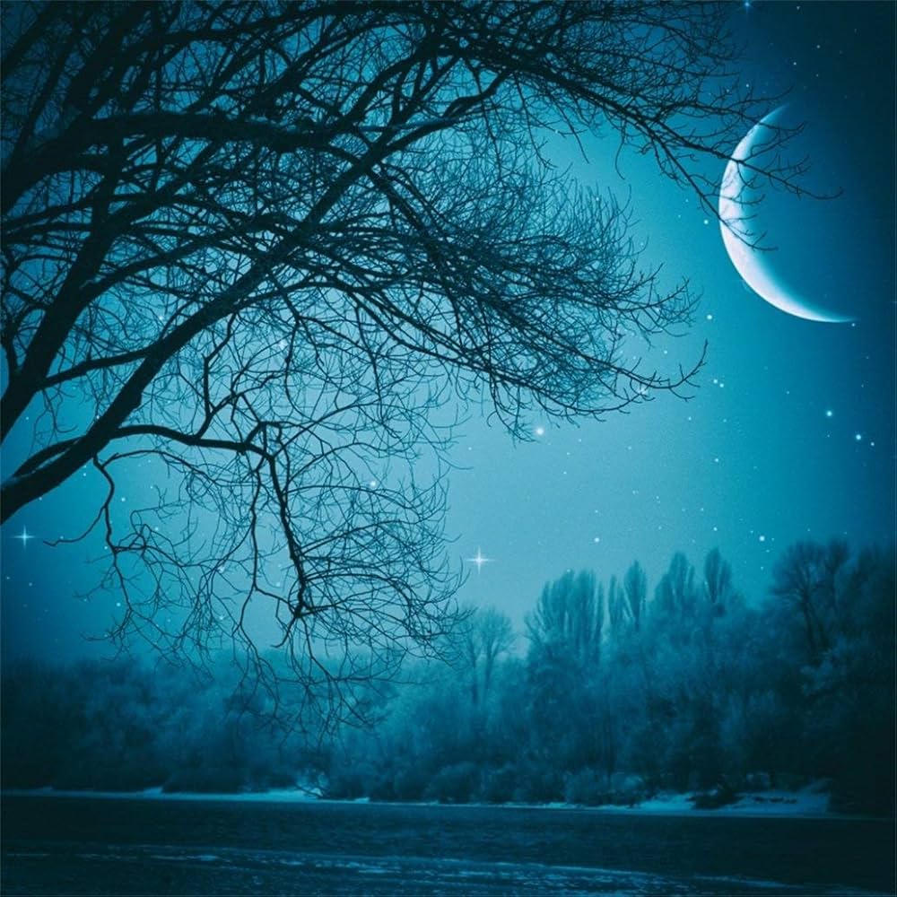 moon portrait 0047