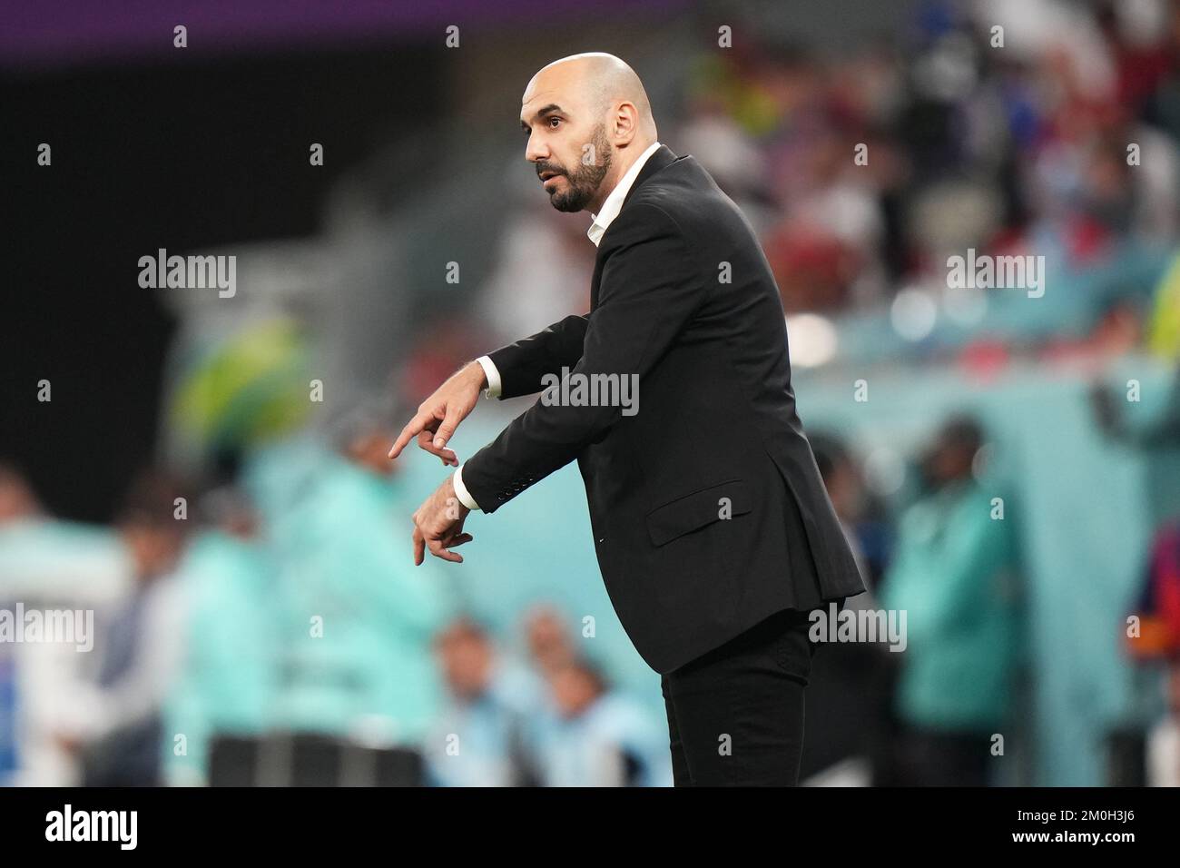 morocco head coach 0017