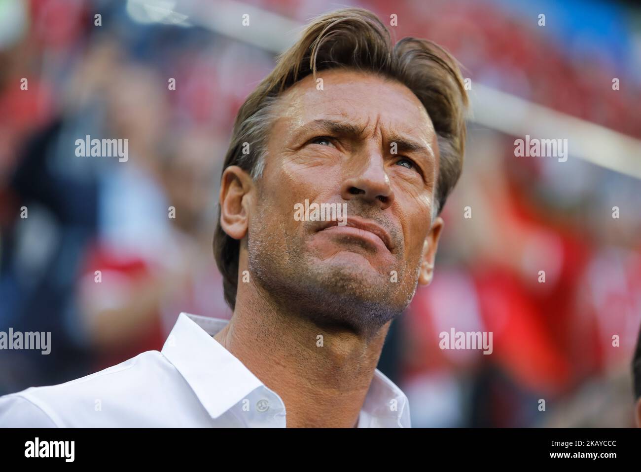 morocco head coach 0041