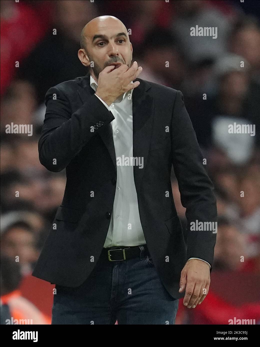morocco head coach 0049