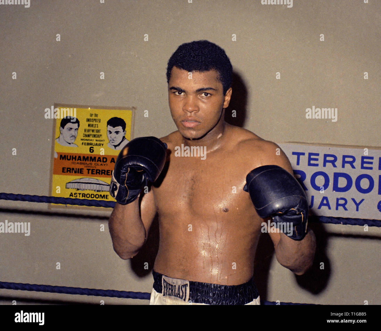 muhammad ali color photos 0031
