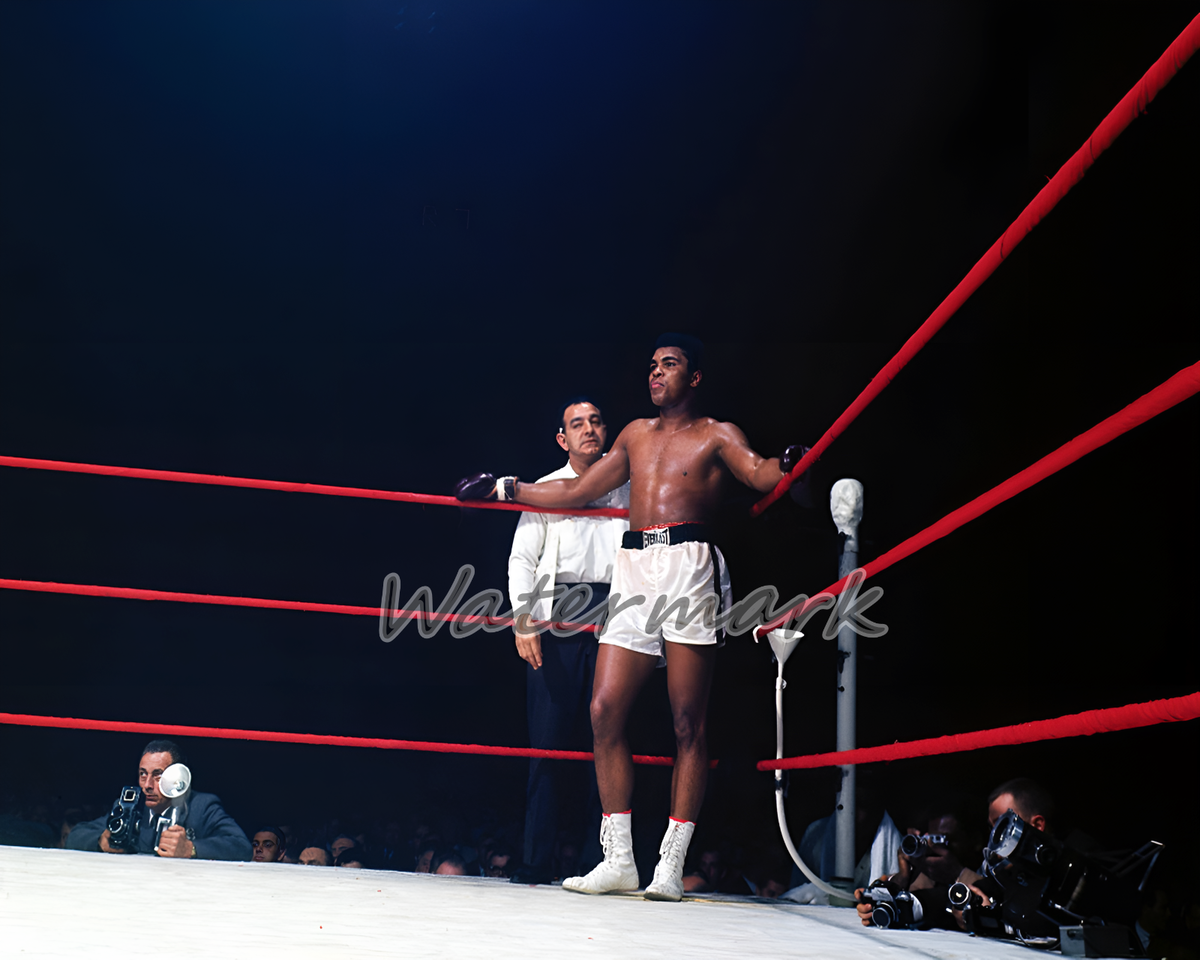 muhammad ali color photos 0041
