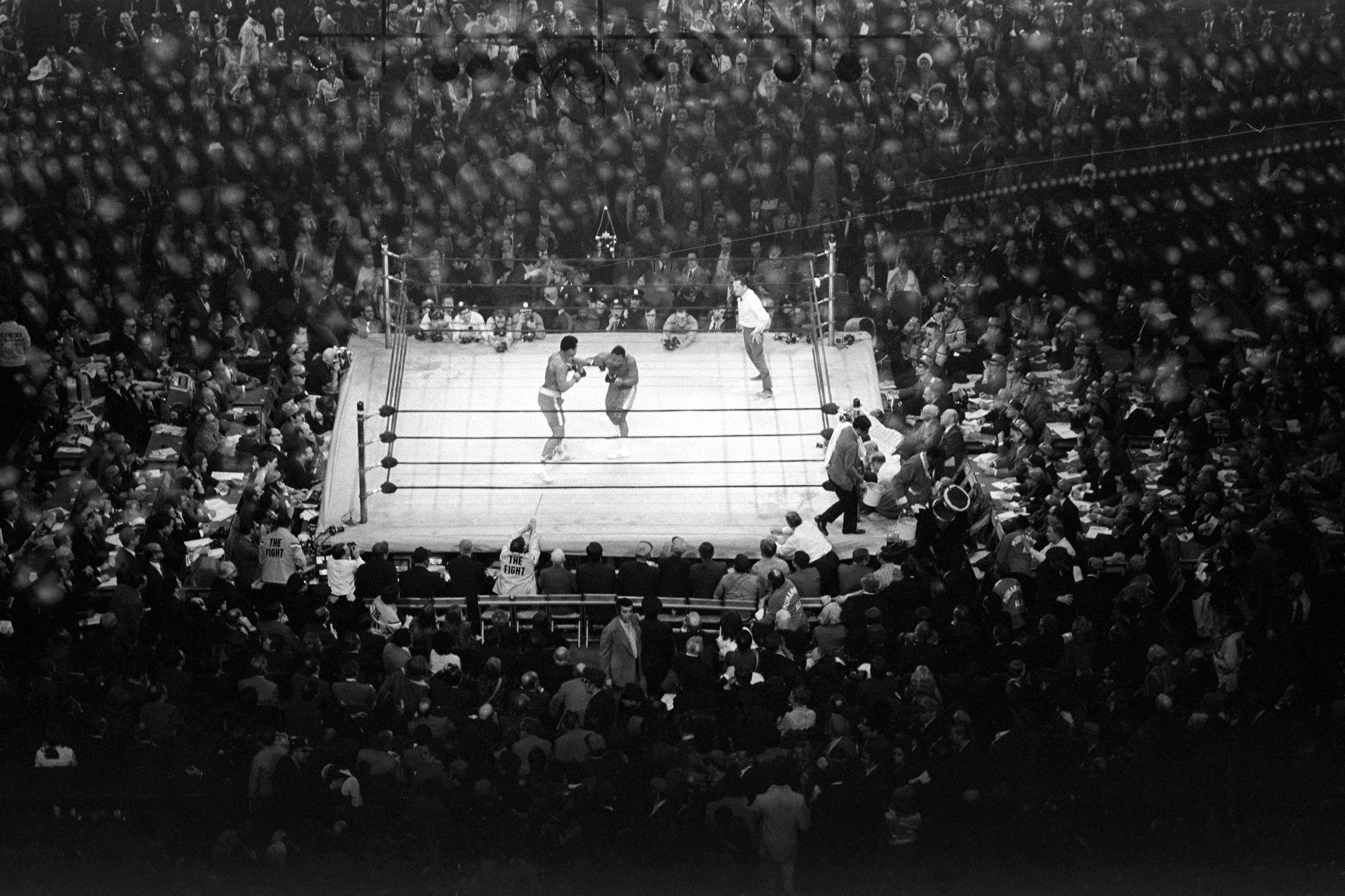 muhammad ali joe frazier photo 0049