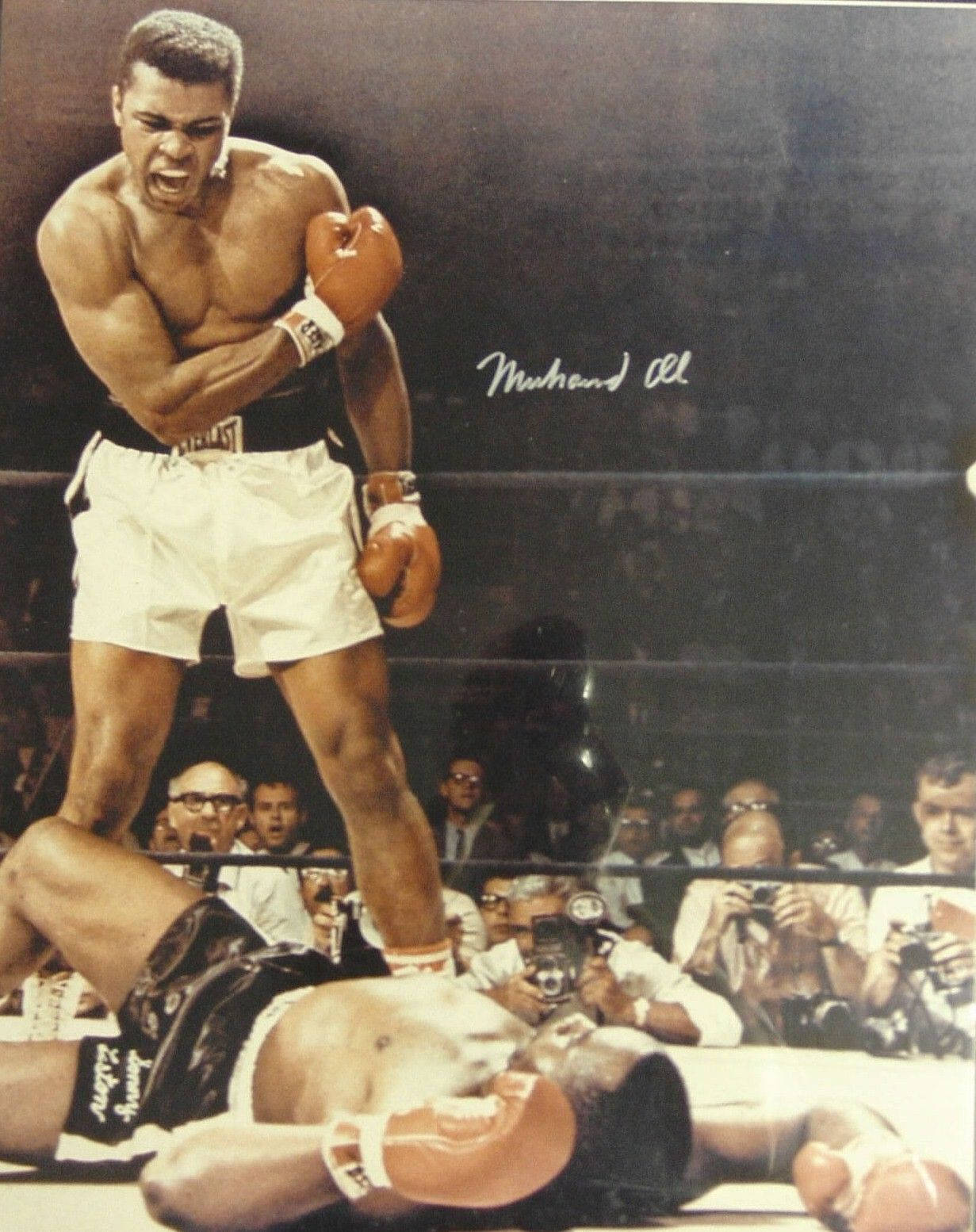 muhammad ali pfp 0027