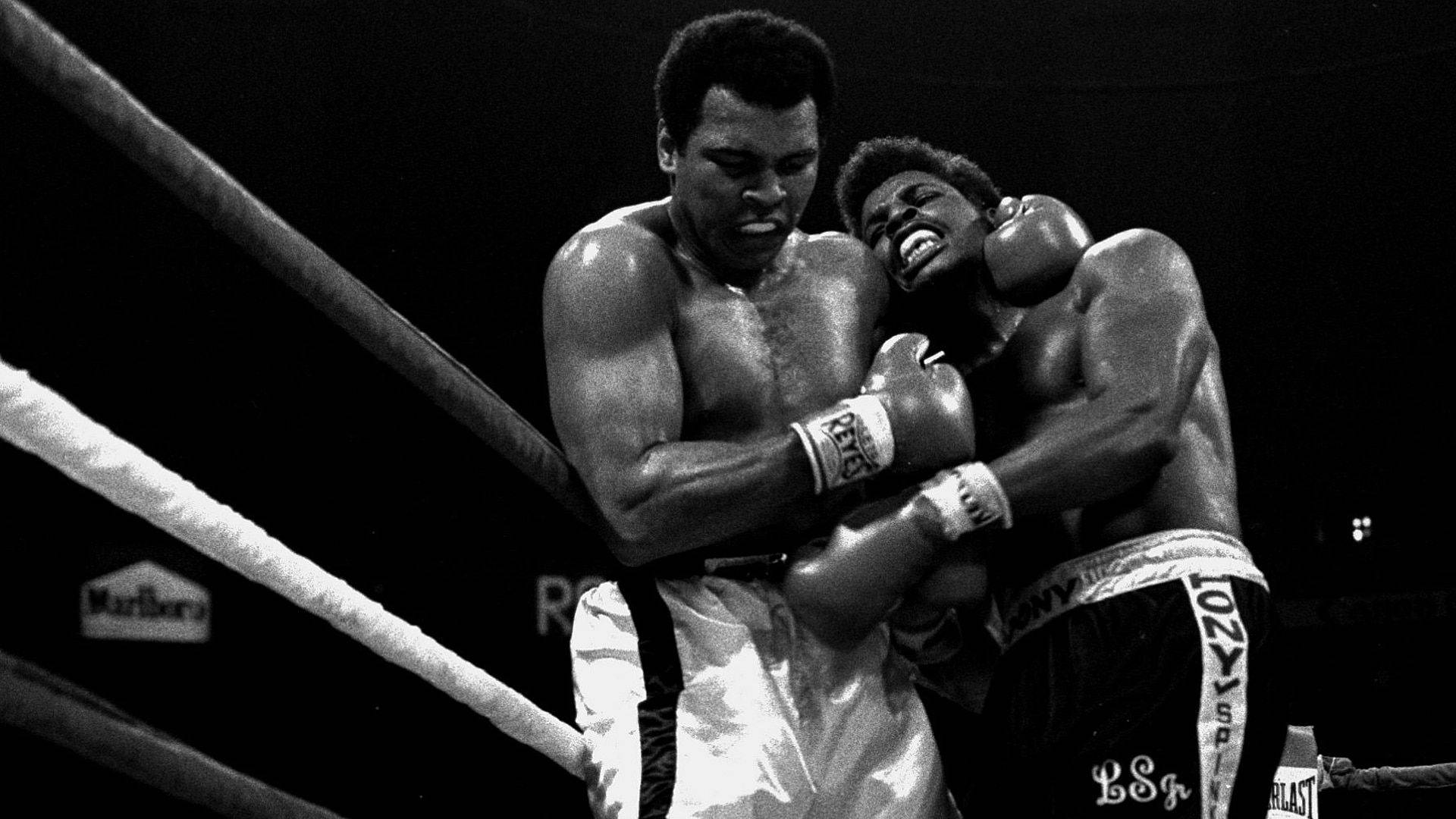 muhammad ali pfp 0031