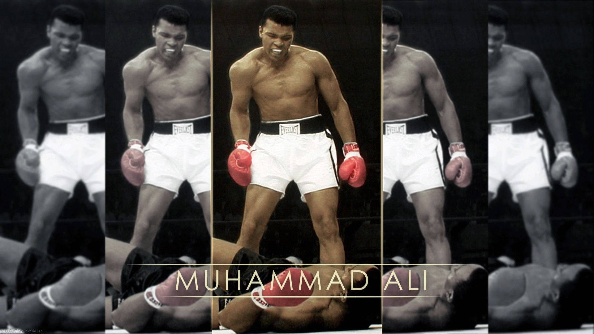 muhammad ali pfp 0043