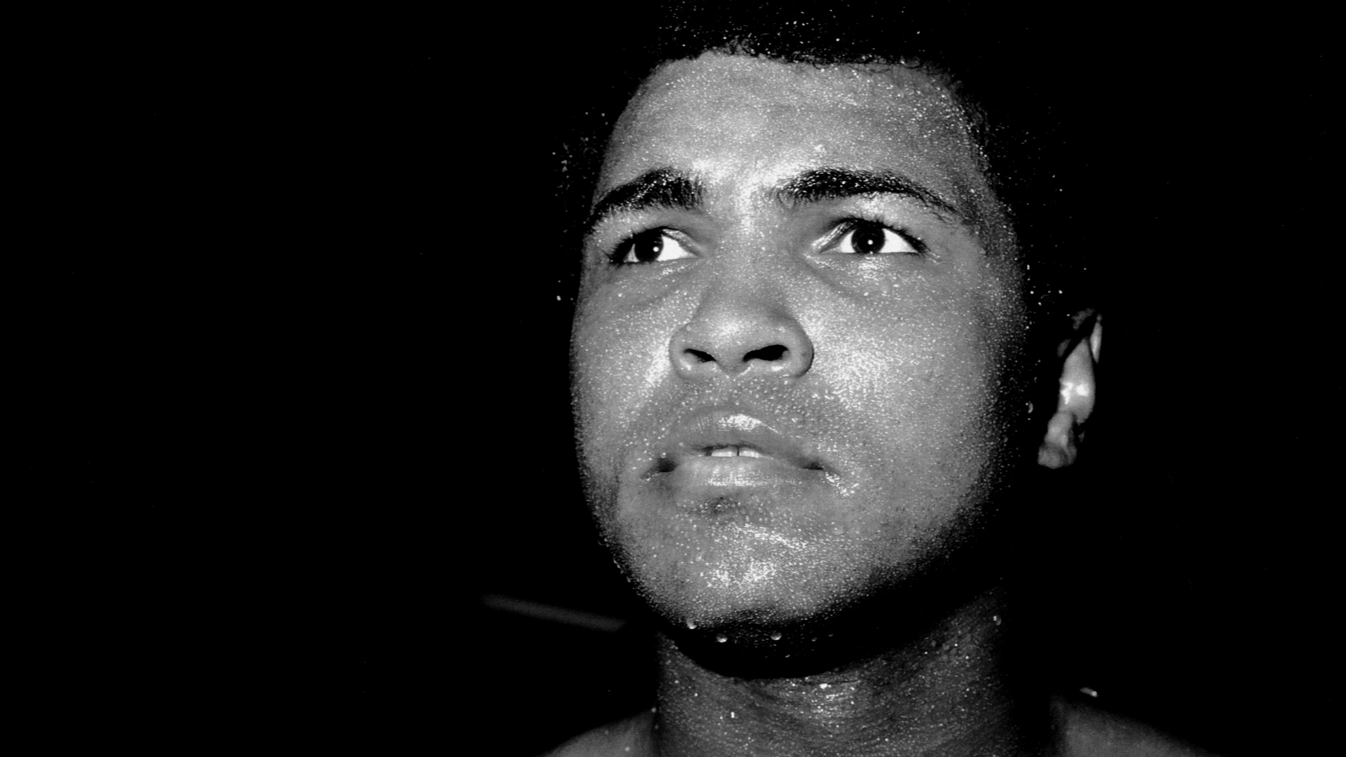 muhammad ali pfp 0044