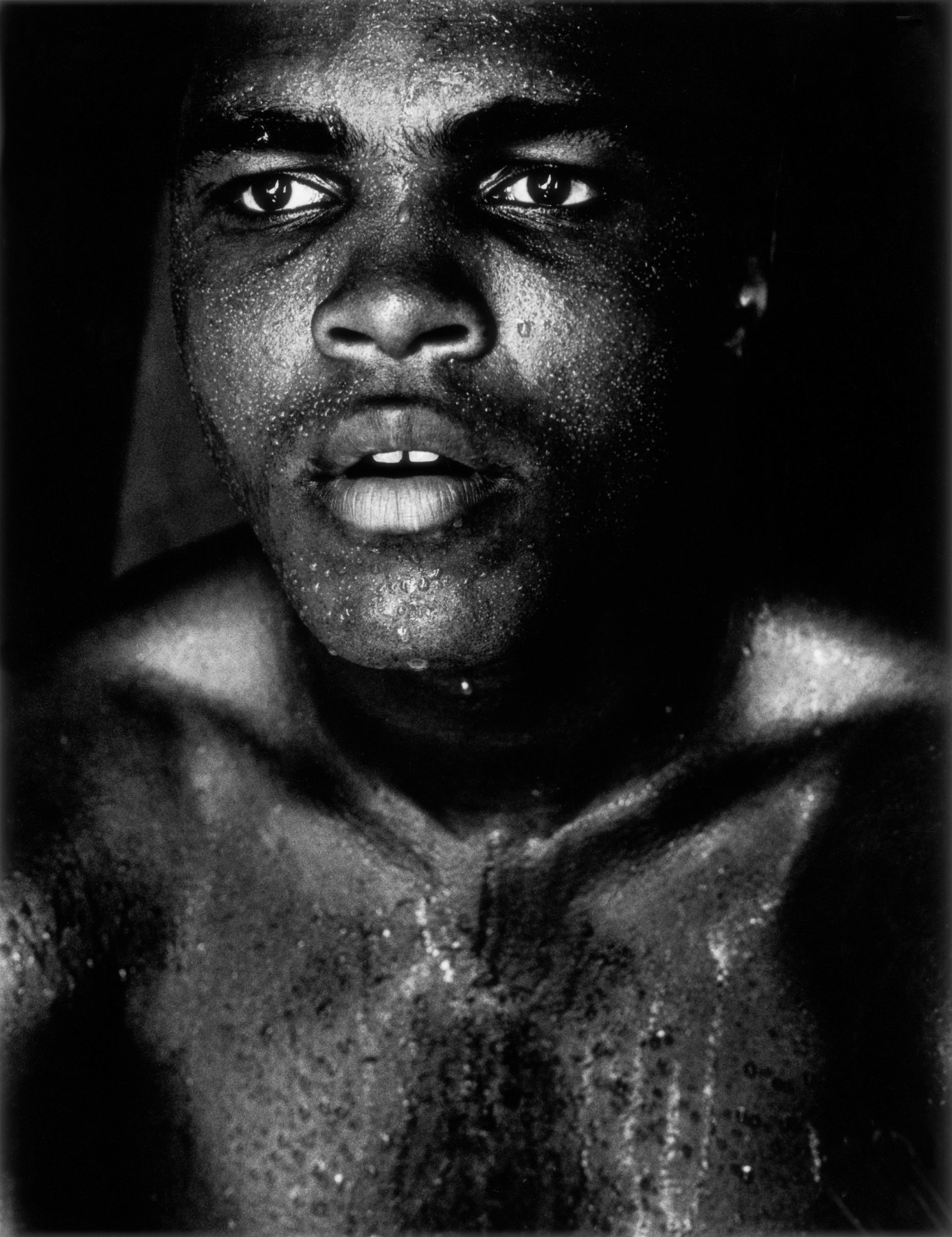 muhammad ali print 0028
