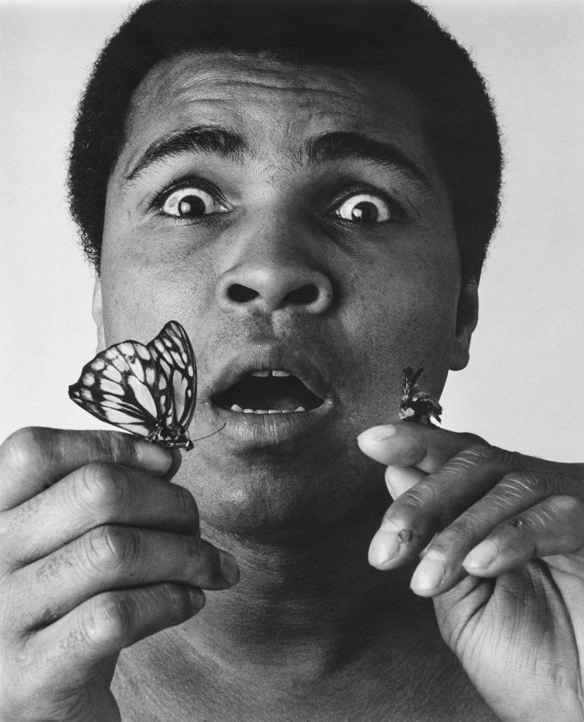 muhammad ali print 0039