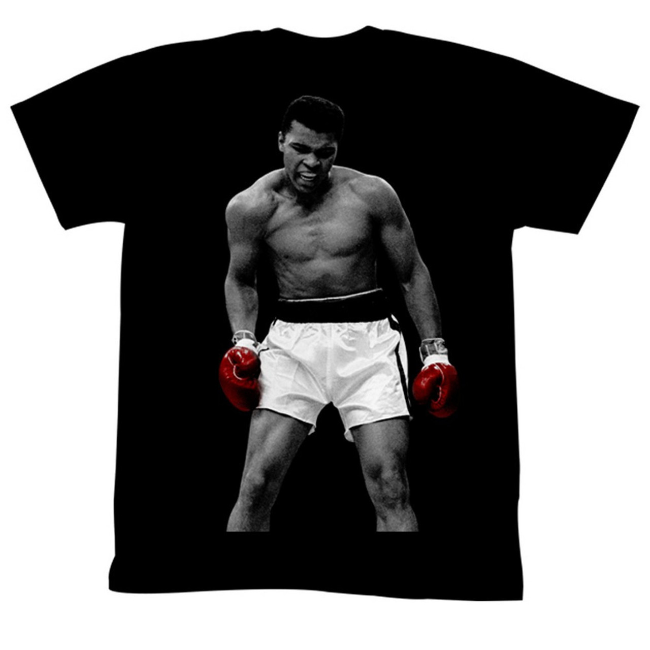 a picture of muhammad ali 0018