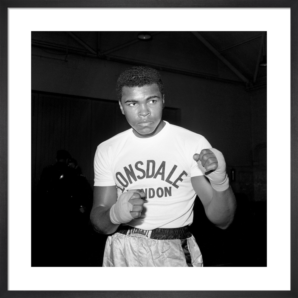muhammad ali headshot 0038