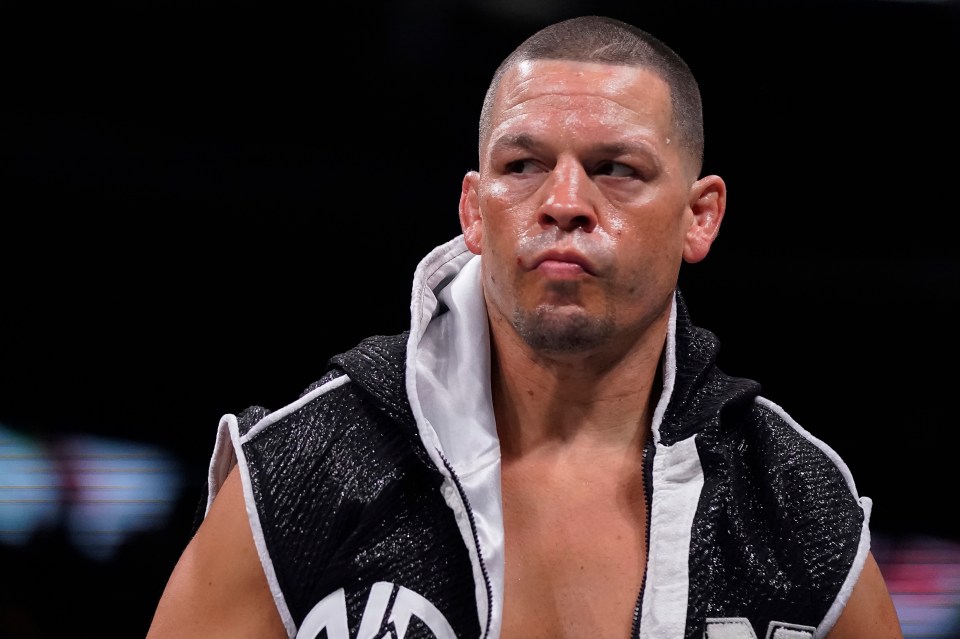 nate diaz images 0018