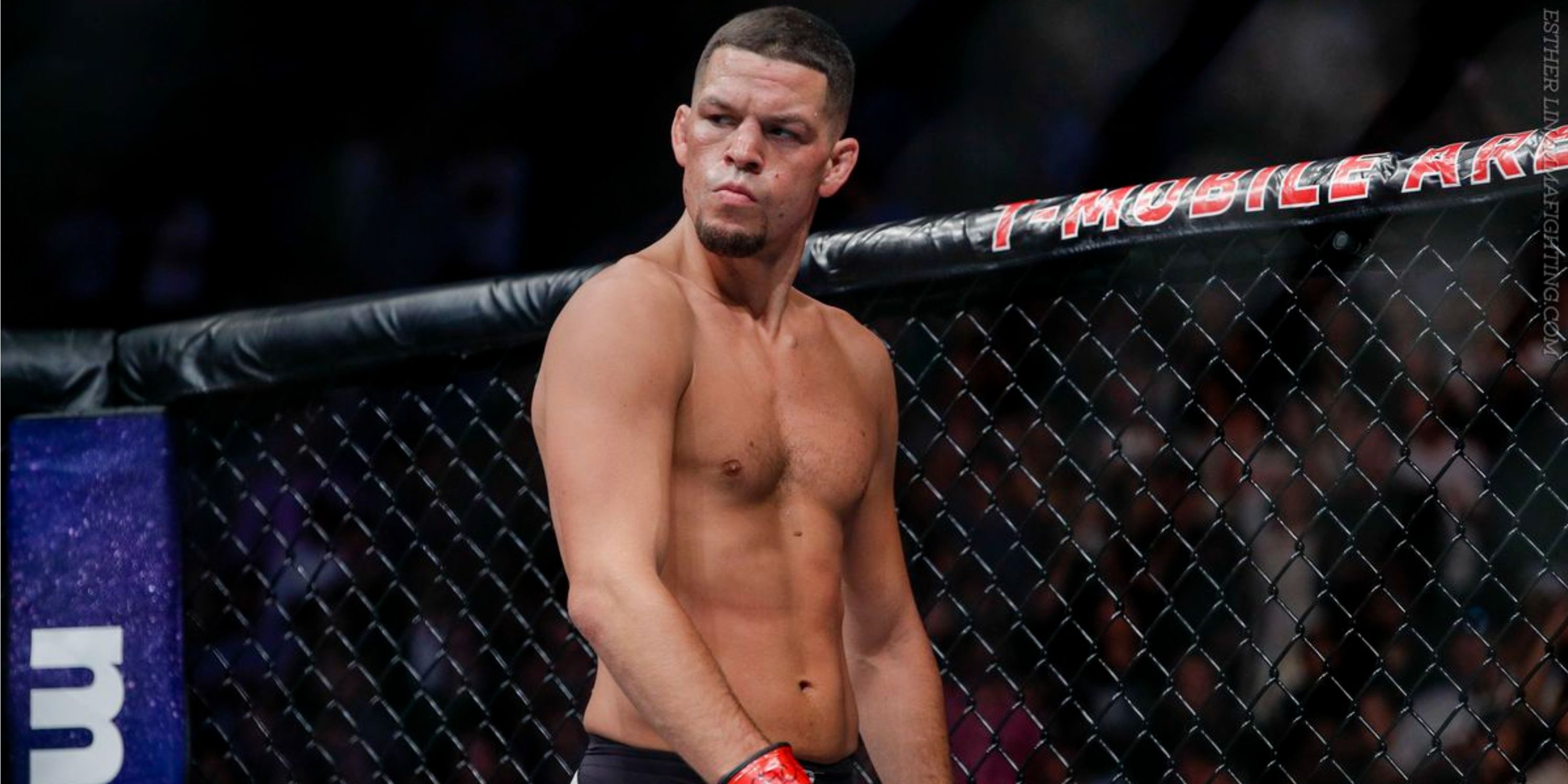 nate diaz images 0032