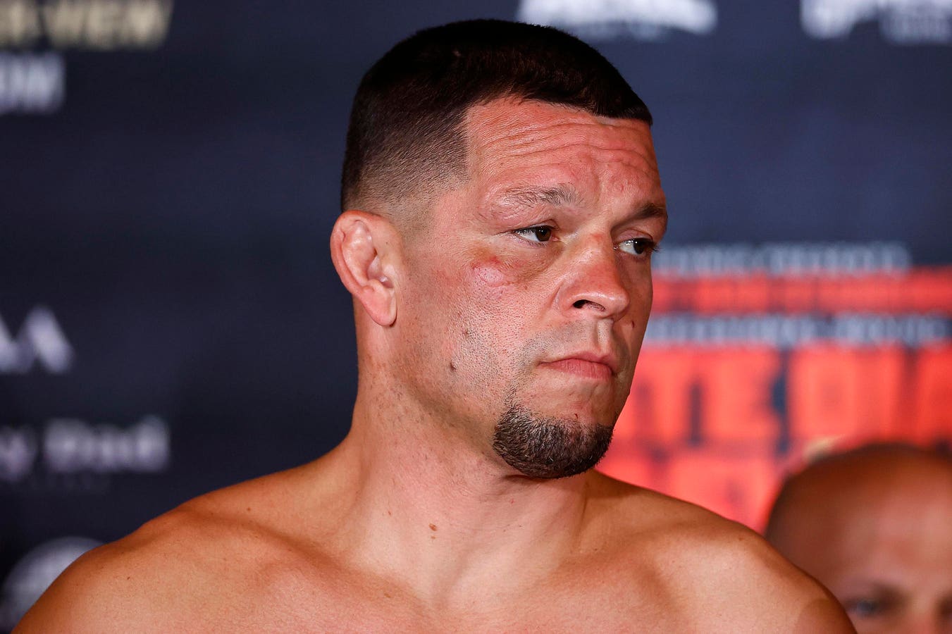 Nate Diaz training images