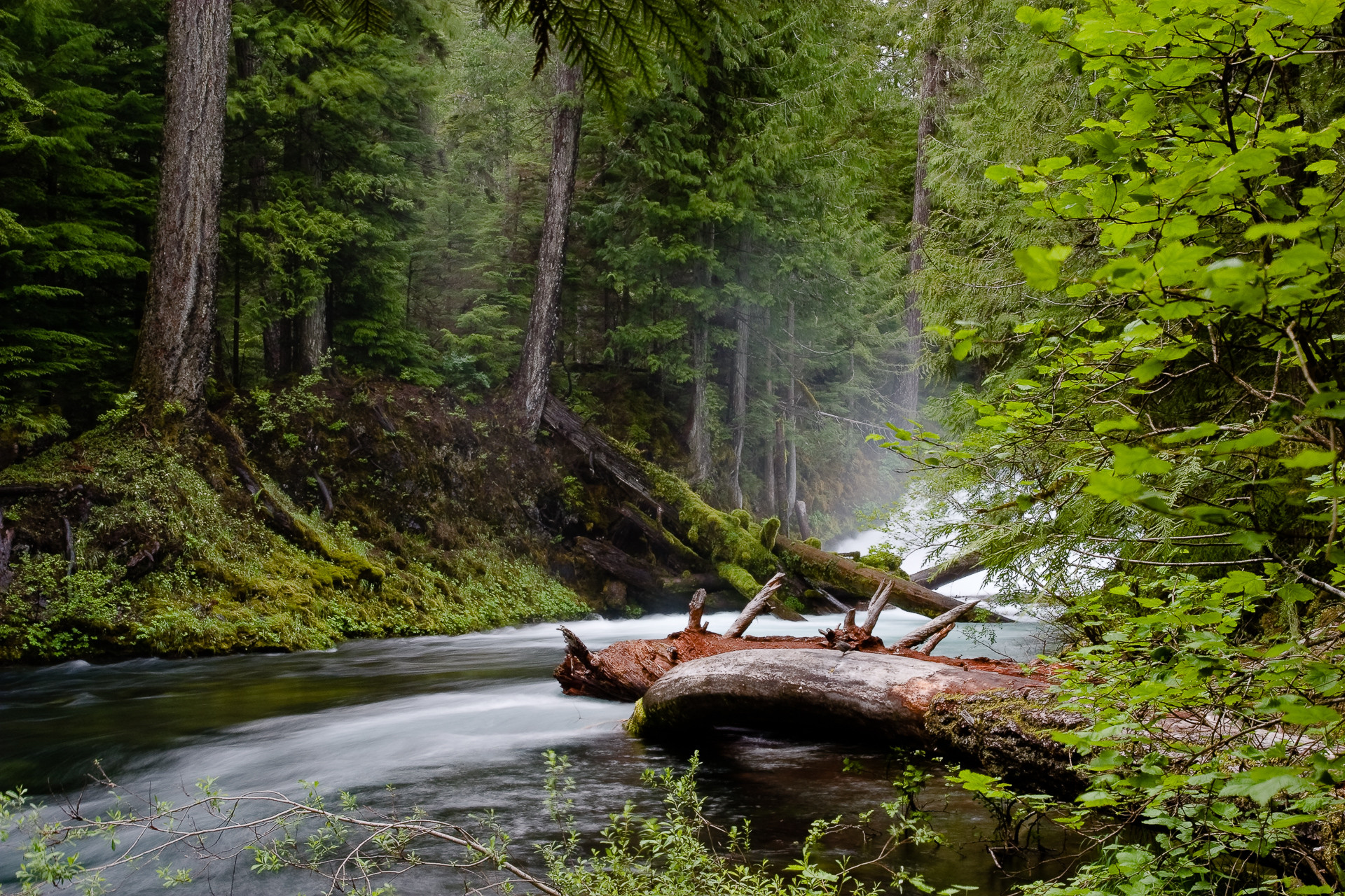 native river 0015