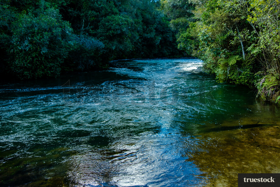 native river 0028