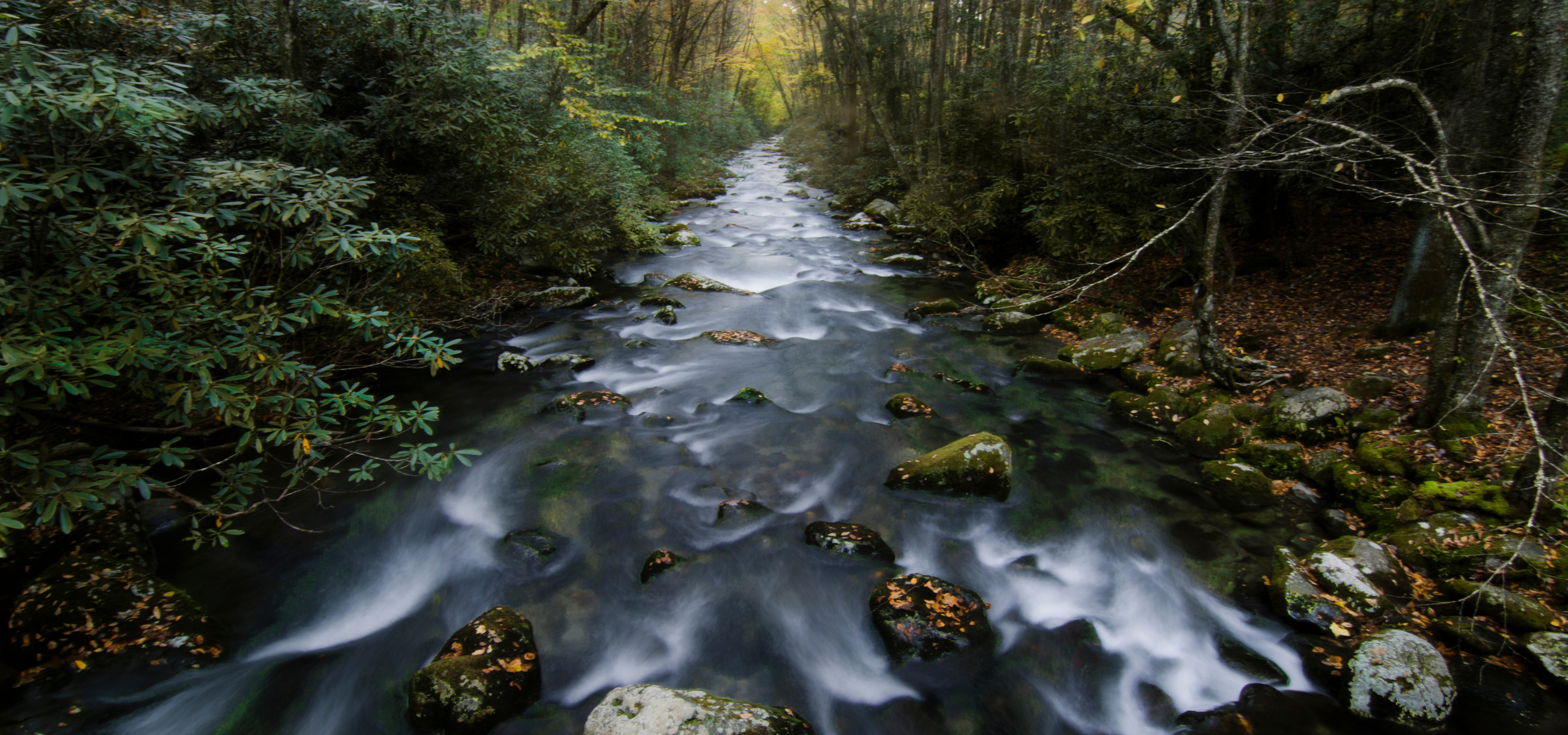 native river 0036