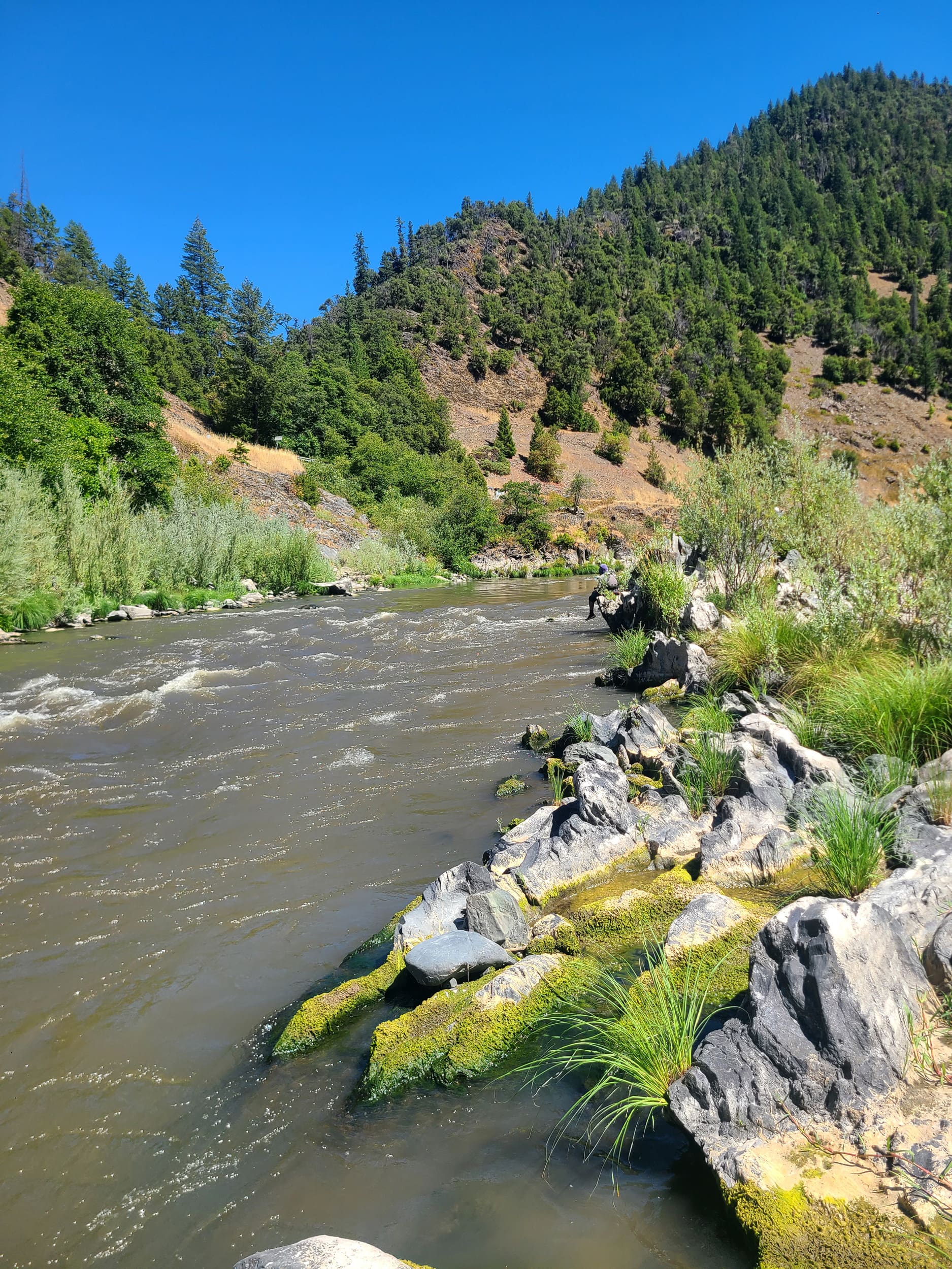 native river 0041