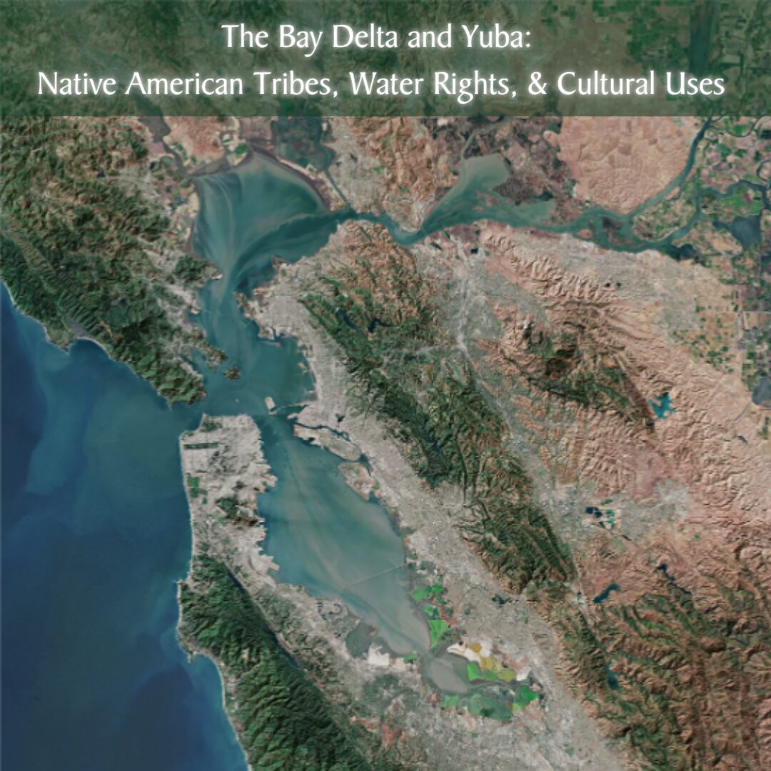 native river 0043