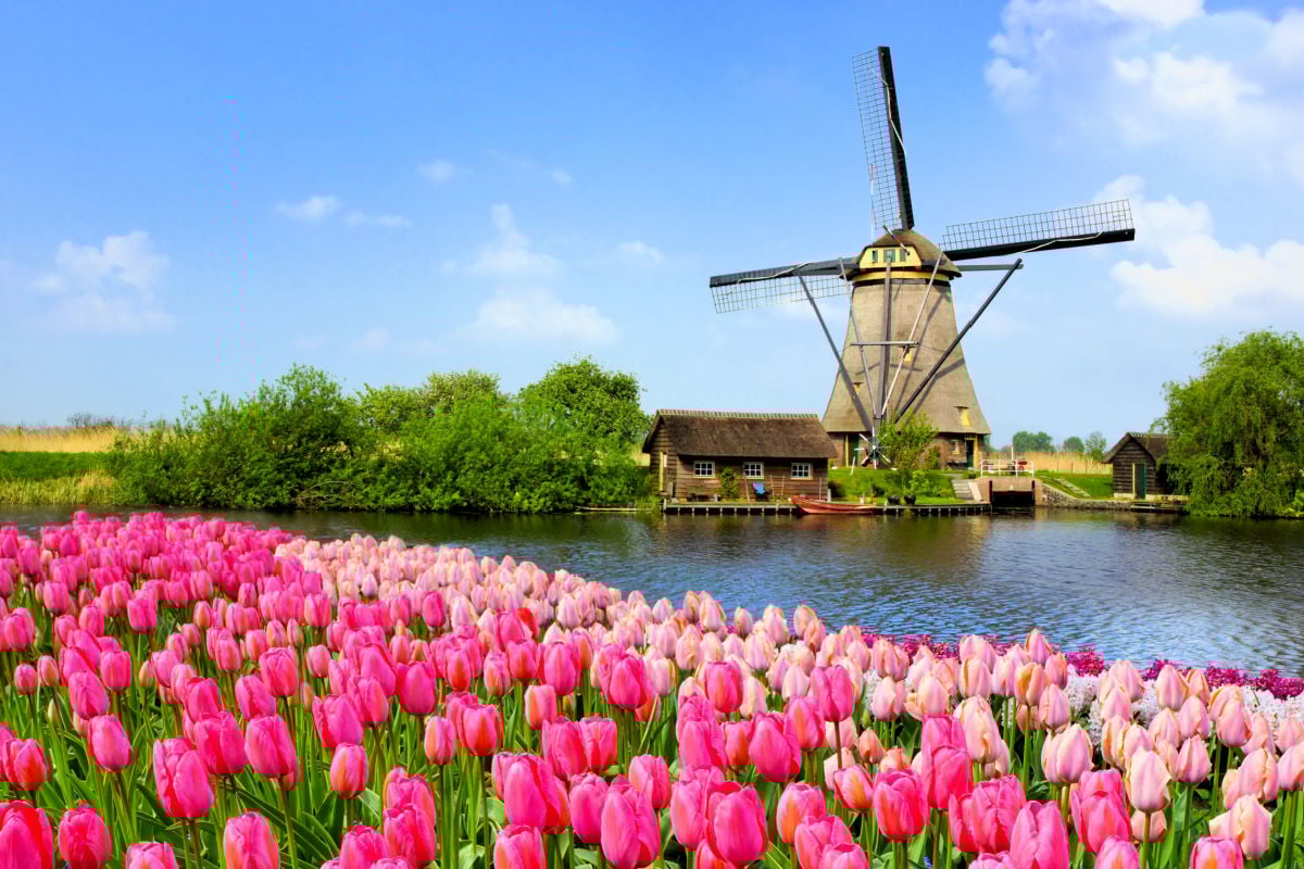 neatherlands time 0018