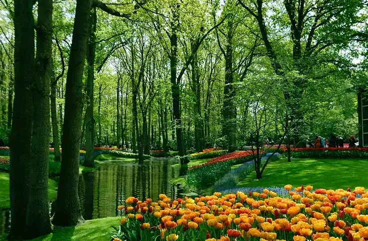 neatherlands time 0022