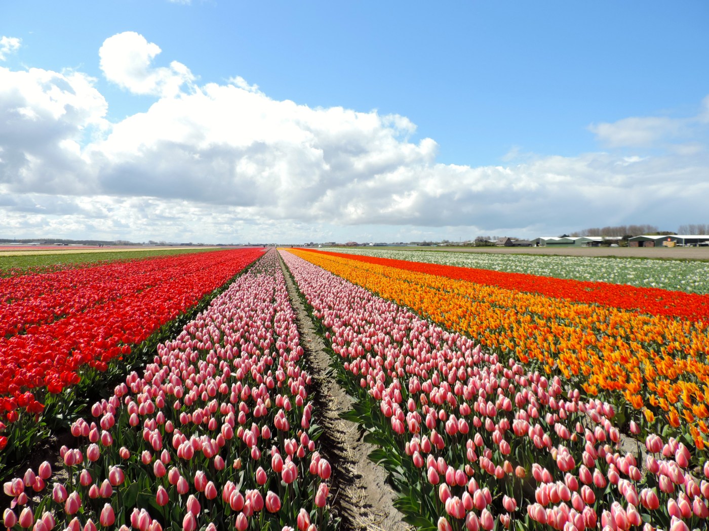 neatherlands time 0039