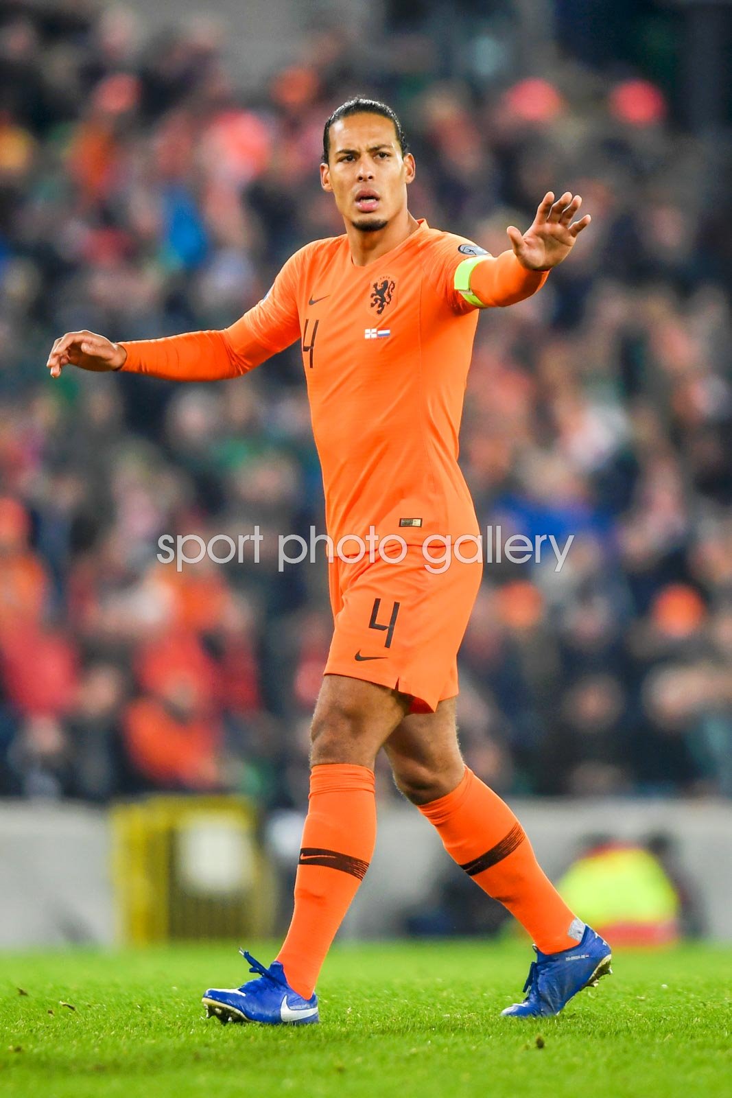 netherlands vs northern ireland 0012