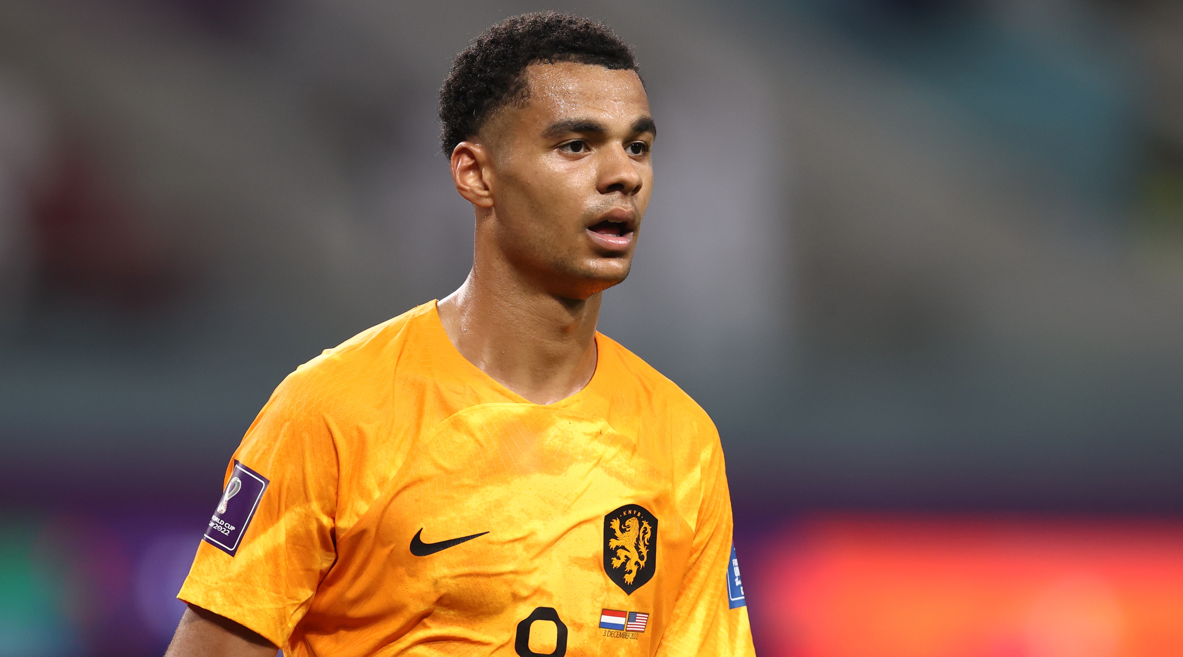 Netherlands World Cup 2022 fixtures