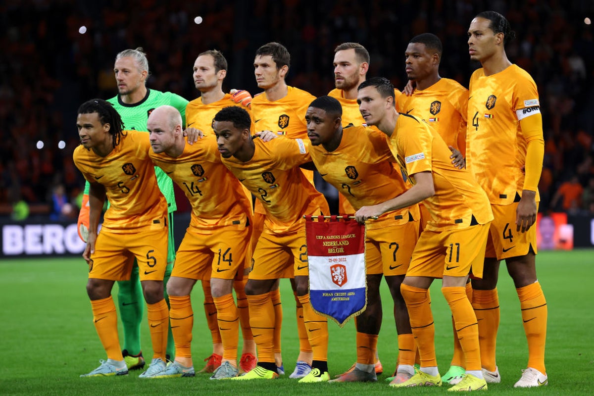 Netherlands World Cup 2022 highlights