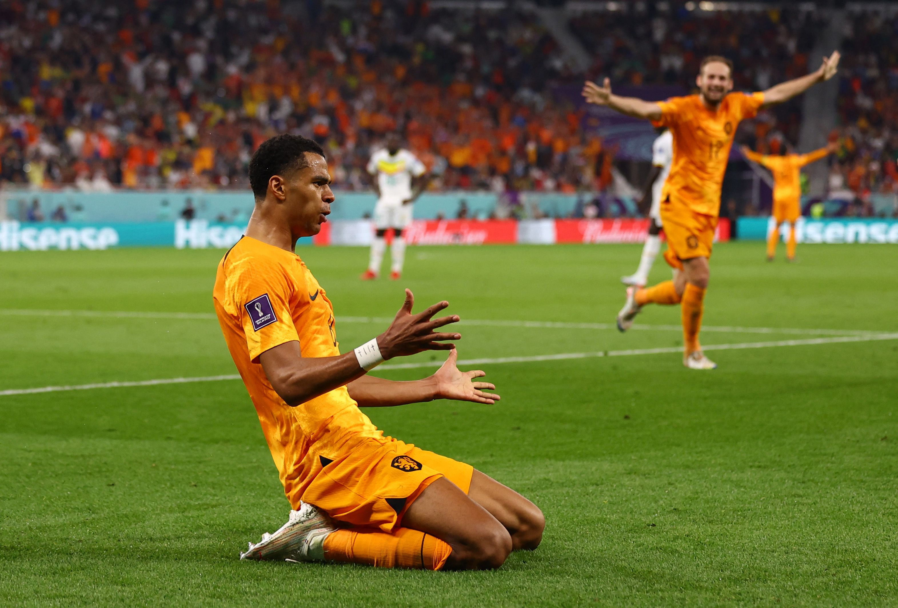 netherlands world cup 2022 0012