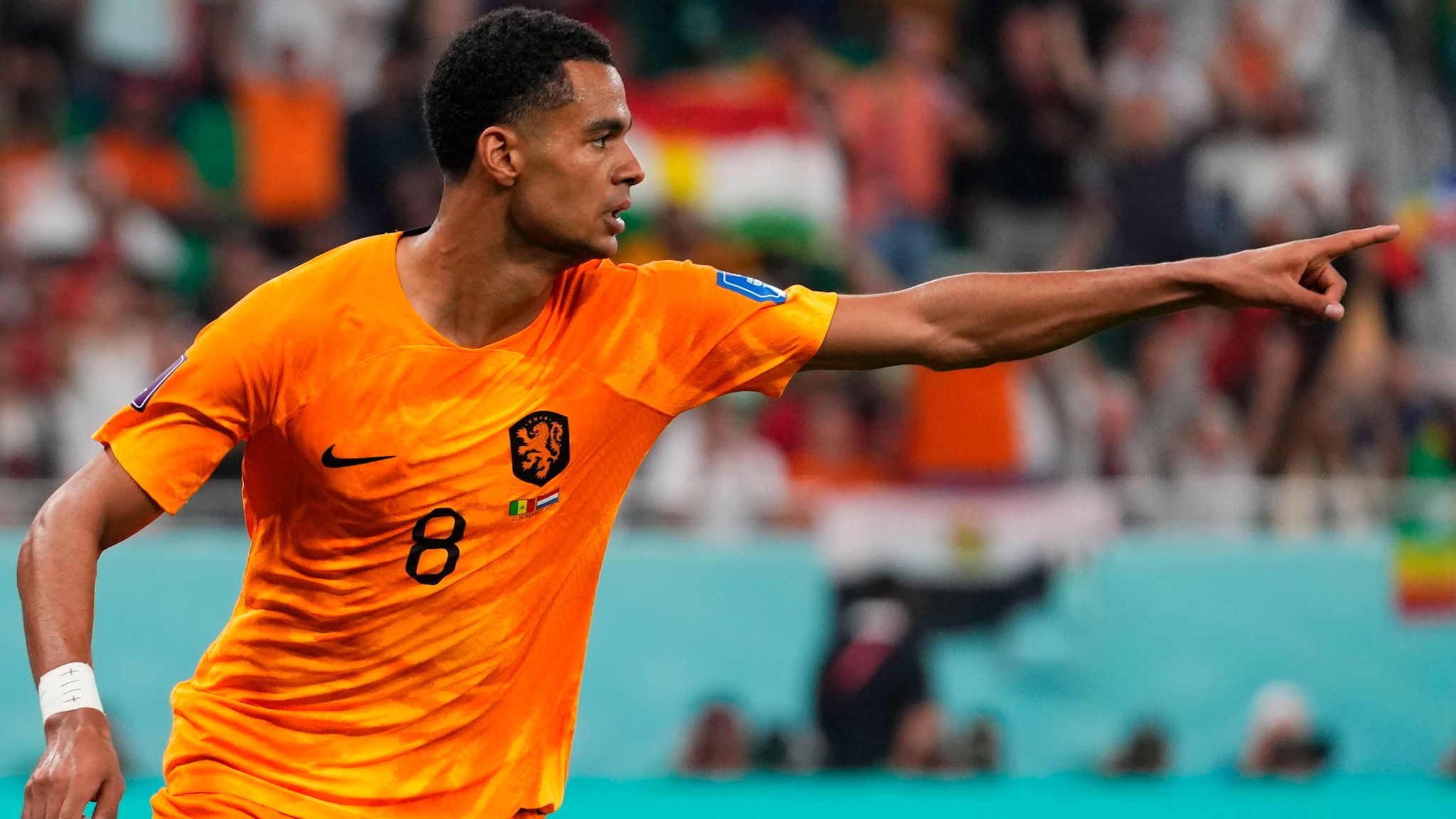 netherlands world cup 2022 0013