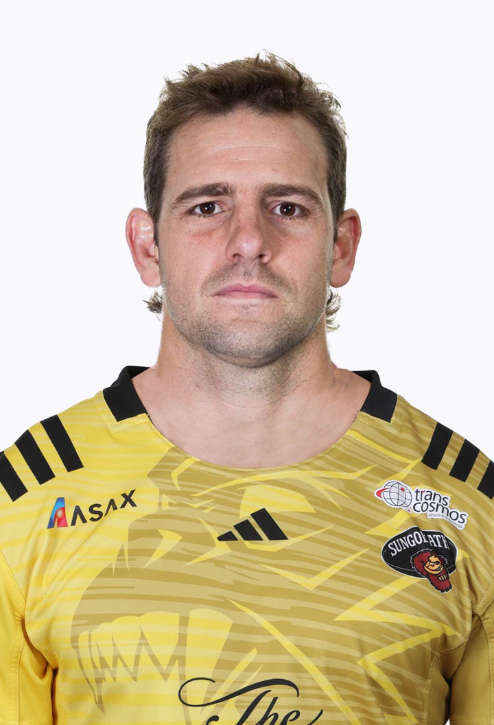 Nicolas Sanchez career highlights