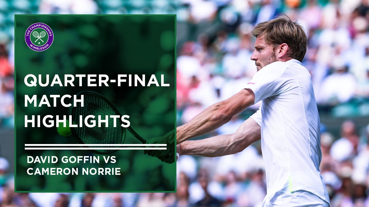 norrie vs goffin