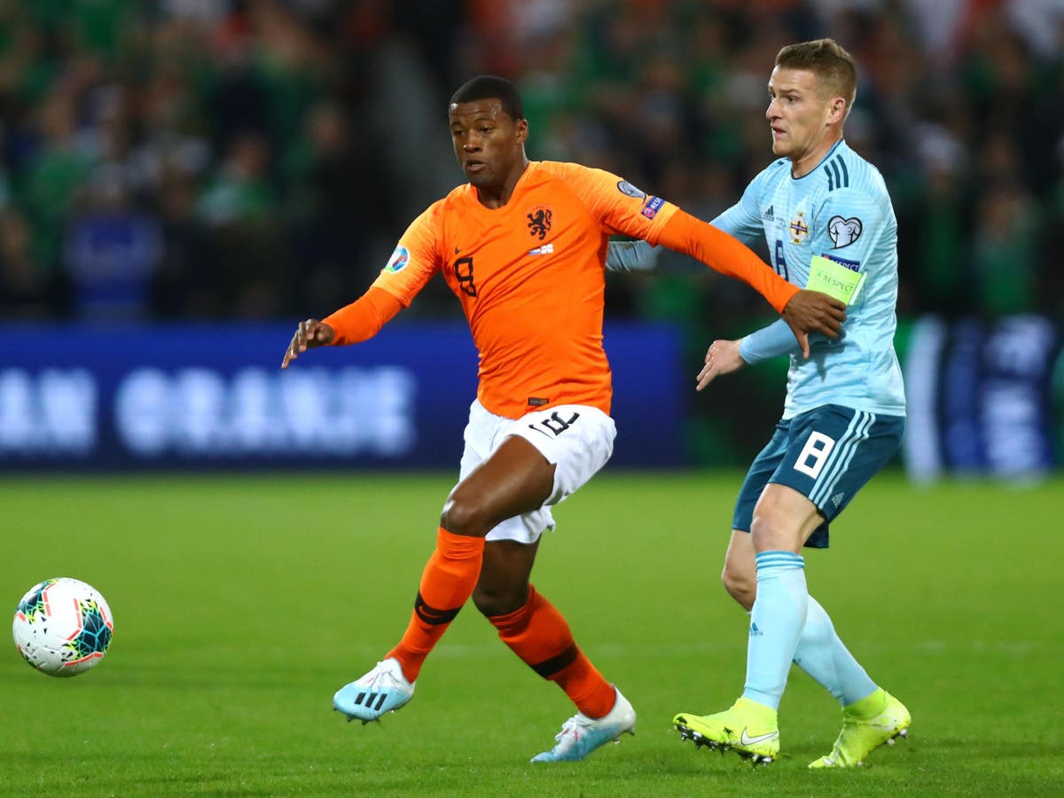 Northern Ireland match highlights