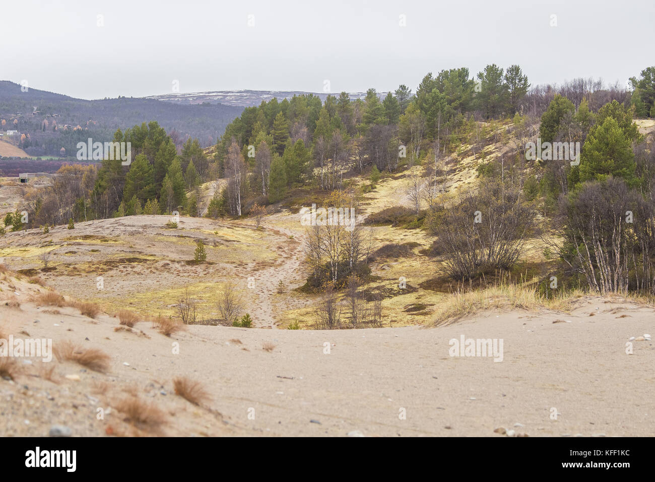 norway desert 0010